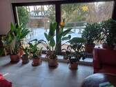 Panoramafenster Wohnzimmer - 