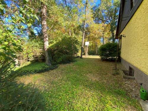 Hinter dem Haus - 