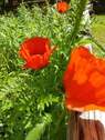 Bild 27 - 