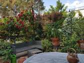 Terrasse, nat. Sichtschutz - Einfamilienhaus mit 137,00 m² in Stahnsdorf zum Kaufen