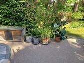 Terrasse - 