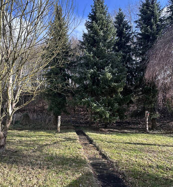 Titelbild - Baugrundstück oder Kersanierung eines kleinen Hauses