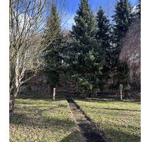 Baugrundstück oder Kersanierung eines kleinen Hauses - Hamburg Rönneburg