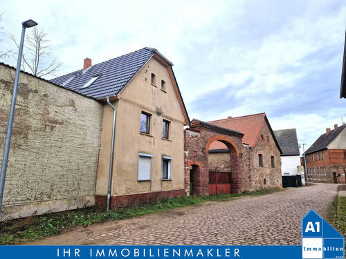 Hausansicht - Wer Visionen hat: Sanierungsbedürftiges Einfamilienhaus mit umfangreichem Nebengelass zur Selbstverwirklichung