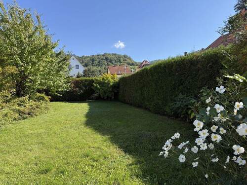 Blick in den Garten - 1 Zimmer Mehrfamilienhaus, Wohnhaus in Hirschberg