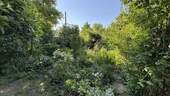 hinterer Bereich Garten - 