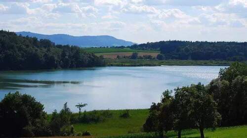 Naturschutzgebiet Mindelsee - 