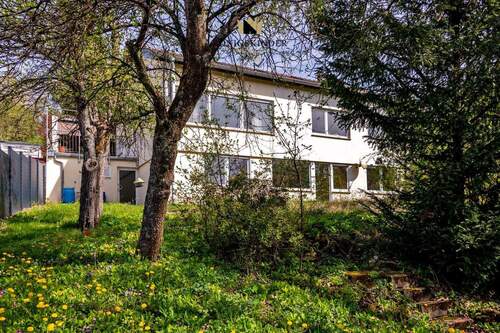 Großer Garten vor dem Haus - 