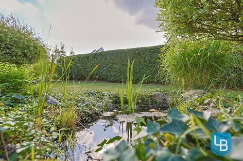 Gartenteich - 