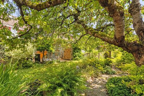 Blick in den Garten - 