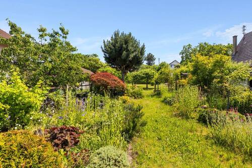 Garten hinterer Bereich - 