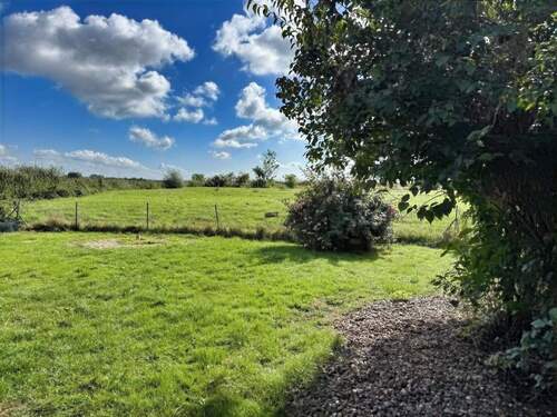 Blick in den Garten II - 