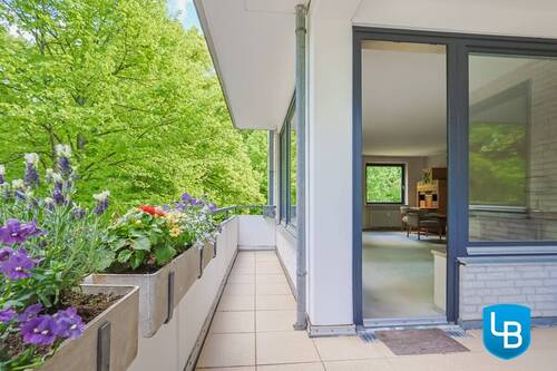 Großer Balkon 1 - 