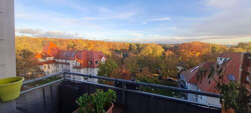 IMG-20251028-WA0024 - 