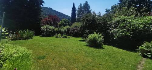 Blick in den Garten - 