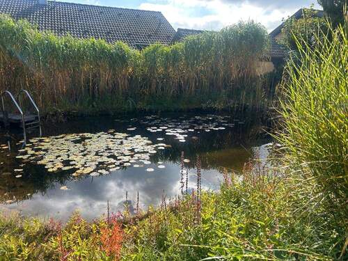 Teich - 