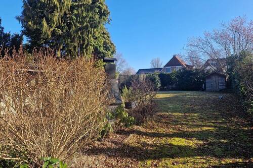 Blick in den Garten - 