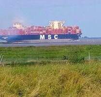 Traumgrundstück am Deich mit Elbblick (Neubauprojekt bis 625m² Wohnfläche) - Glückstadt