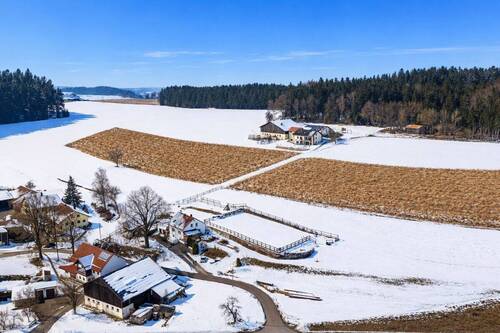 Drohnenaufnahme - 5 Zimmer Einfamilienhaus zum Kaufen in Michelsneukirchen