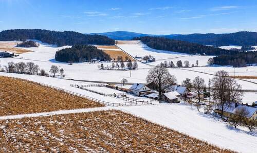 Drohnenaufnahme - 5 Zimmer Einfamilienhaus in Michelsneukirchen