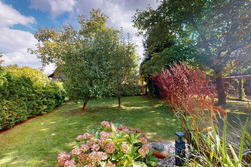 Garten vom Teich aus - 