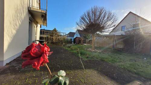 der Garten - 