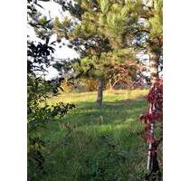 Einfamilienhaus mit ca. 1.790,00 m² großer Wiese in ländlicher Lage von Querfurt