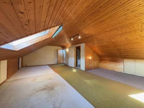 DG Studio 3 - 