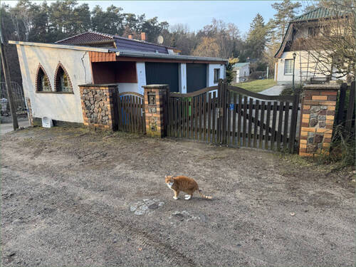 Bild 3 - 6 Zimmer Mehrfamilienhaus, Wohnhaus in Straußberg