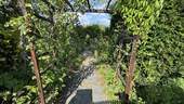 Eingang - 
