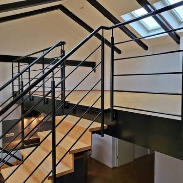 Galerie mit Velux-Fenstern - 
