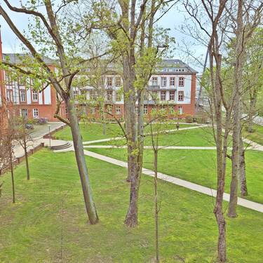 Grünfläche vor dem Haus - 