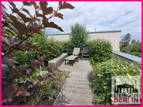 Dachgarten - 