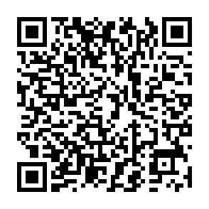 QR-Code - 