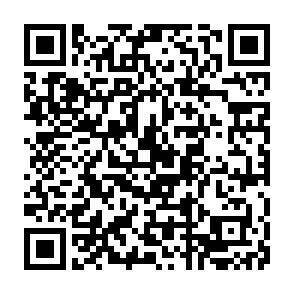 QR-Code - 