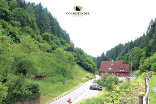 geschützt eingebettet im Tal... - 2 Zimmer Hotel, Pension, Gasthof zum Kaufen in Schenkenzell / Kaltbrunn