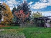 der Garten - 