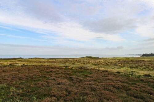 weitläufige Heidelandschaft - 