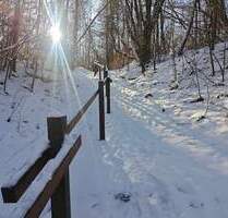Ehemalige Kiesgrube, jetzt NaturgrundstückWald - Großenaspe