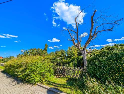 Garten gegenüber vom Haus - Einfamilienhaus mit 215,20 m² in Torgau OT Staupitz zum Kaufen
