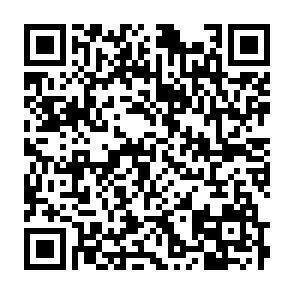 QR-Code - 