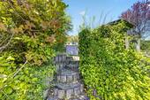 eigener Garten mit Gartenhaus/ Grillplatz - 