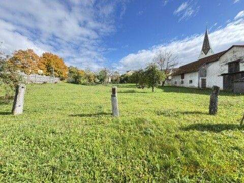 E9DC1D6D-54F3-4935-BDE6-F15184D7E685_4_5005_c - Ländliche Idylle für Mensch und Tier - Ehemalige Landwirtschaft in Bieswang