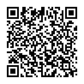 QR-Code - 