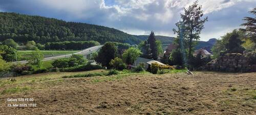 Blick vom Grundstück auf den Zirkelstein und Brück - Grundstück zum Kaufen in Bad Schandau