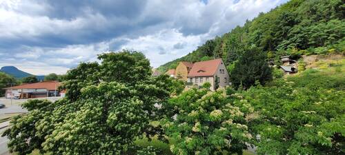 Lilienstein, Penny, Grundstück.jpg - Grundstück in Bad Schandau