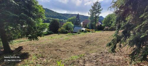 Blick vom oberen Grundstücksteil.jpg - 