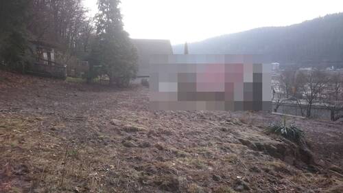 Blick zum Bahnhof Bad Schandau - 