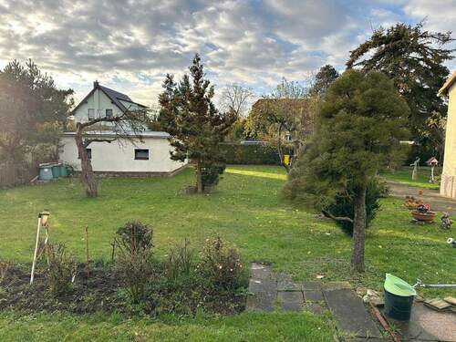 Garten.jpeg - 2 Zimmer Einfamilienhaus zum Kaufen in Halle (Saale)