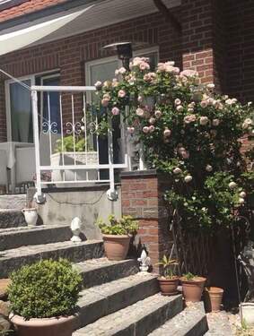 Gartenblick_zur_Terasse - 